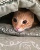 peekaboo.jpg
