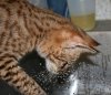 Zari and the water 02.JPG