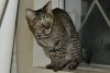 dsc_0018 crop.jpg