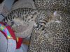 DSCN0769.JPG