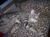 DSCN0770.JPG