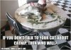 talk to your cat.jpg