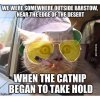 fear loathing.jpg