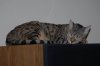 Elsa-12.JPG