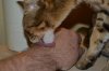 dsc_0040 small.jpg