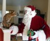 santa 2.jpg