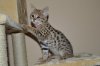 DSC_0071.jpg