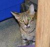 dsc_0049 crop.jpg