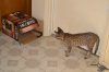 dsc_0067 small.jpg