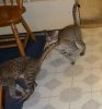 dsc_0073.jpg