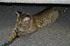 dsc_0018_00 crop.jpg