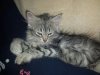 Gimli 022.jpg