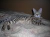DSCN0573.JPG