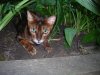 DSCN0717.JPG