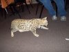 DSCN0362.JPG