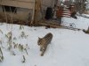 DSCN0369.JPG