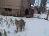 DSCN0370.JPG