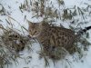 DSCN0375.JPG