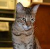 dsc_0022 crop.jpg