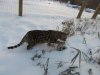 DSCN0388.JPG