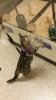 petsmart.jpg