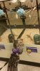 petsmart4.jpg