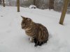 DSCN0395.JPG