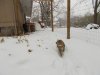 DSCN0398.JPG