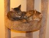 DSC03494.JPG