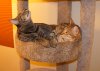 DSC03497.JPG