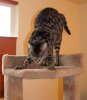 DSC03506.JPG