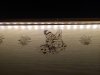 IMG_0375.JPG