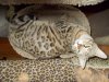 DSCN0422.JPG