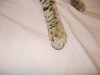 DSCN0423.JPG
