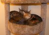 DSC03524.JPG