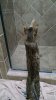 Elsa-Shower-1.jpg