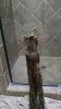 Elsa-Shower-3.jpg