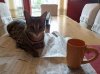 coffee 4.jpg
