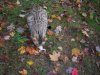 DSCN0743.JPG