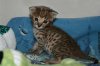 Kimi 2013 0718 03.JPG