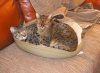 DSC03554.JPG