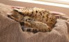 DSC03558.JPG