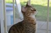 dsc_0031 crop.jpg