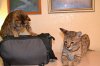 dsc_0010 small.jpg