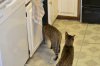 dsc_0014 small.jpg