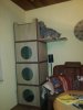 Cat Tower 058.jpg
