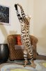 DSC_4959.jpg