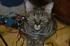 dsc_0013 samll.jpg