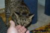 dsc_0007 small.jpg