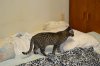 dsc_0014 small.jpg